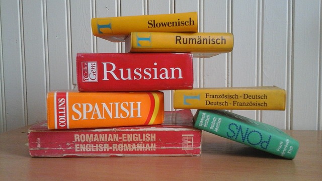 slovníky cizích jazyků